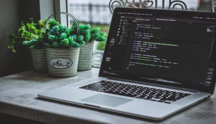 مبرمج محترف