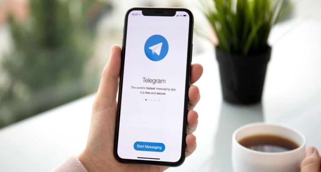 قنوات التليجرام