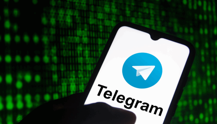 بوت على التليجرام