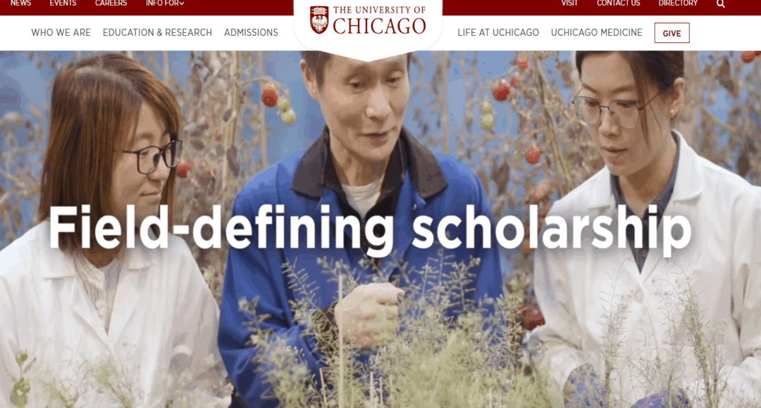 جامعة شيكاغو المملكة المتحدة