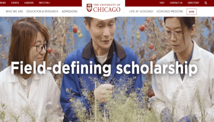 جامعة شيكاغو المملكة المتحدة