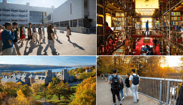 جامعة كورنيل