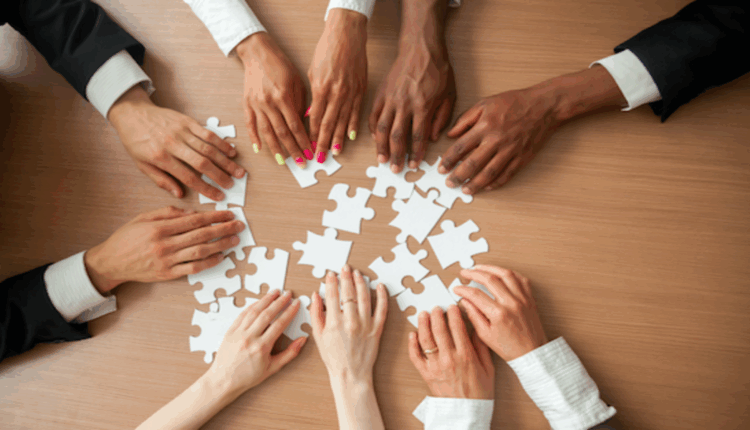 إدارة الفريق