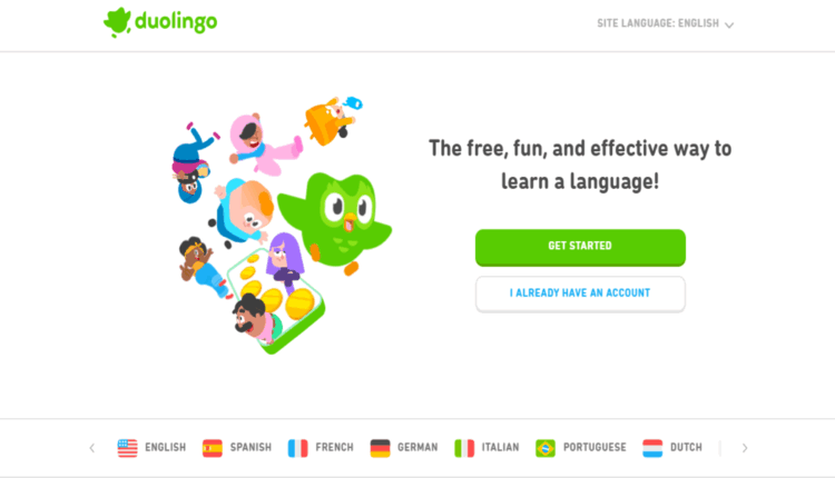 كيف تراجع وتثبت مستواك