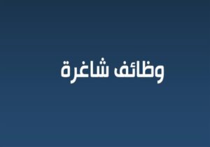 أي وظيفة