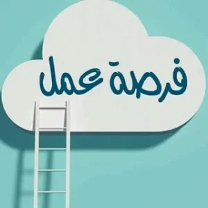 أي وظيفة