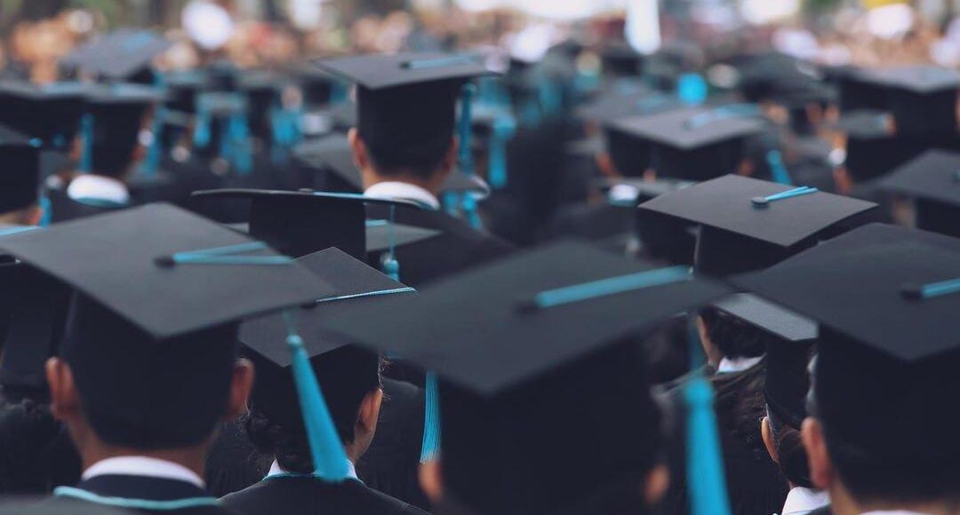 منح جامعة هارفارد وبرينستون