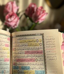 WhatsApp Image 2026 01 22 at 10.57.17 PM