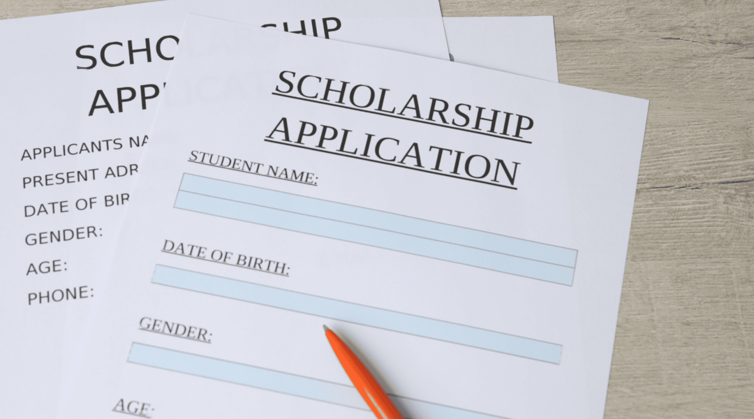 المنح الدراسية الحكومية في دول الاتحاد الأوروبي