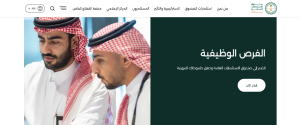 برنامج تطوير الخريجين
