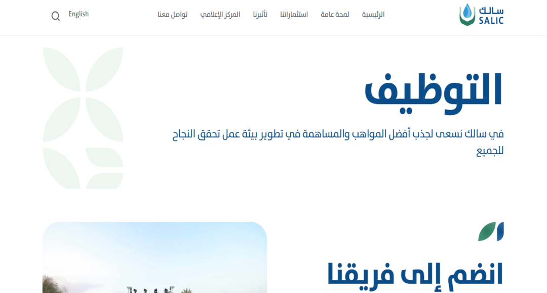 انطلاقة وظيفية