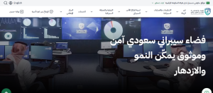 الأمن السيبراني