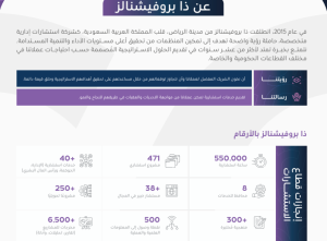 تعرف علي دليل الرواتب لعام 2025مـ في المملكة العربية السعودية 2 دليل الراتب