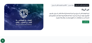 الأمن السيبرااني